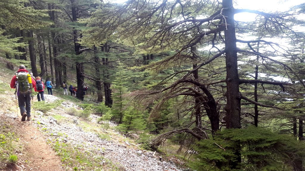 Hiking Trails